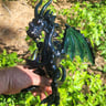 Small image 6