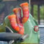 Small image 9