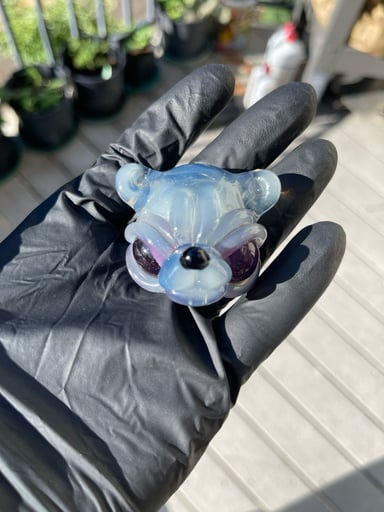 Preview pic of cfl casto bear