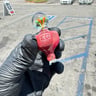 Small image 0
