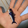 Small image 0