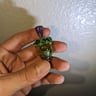 Small image 2