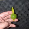 Small image 1