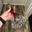 Small image 3