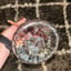Small image 8