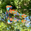 Small image 5