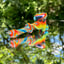 Small image 6