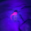 Small image 9