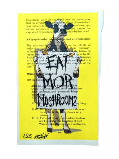 Preview pic of Wookerson "Problem Print #116" Print