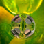 Small image 8