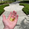 Small image 0