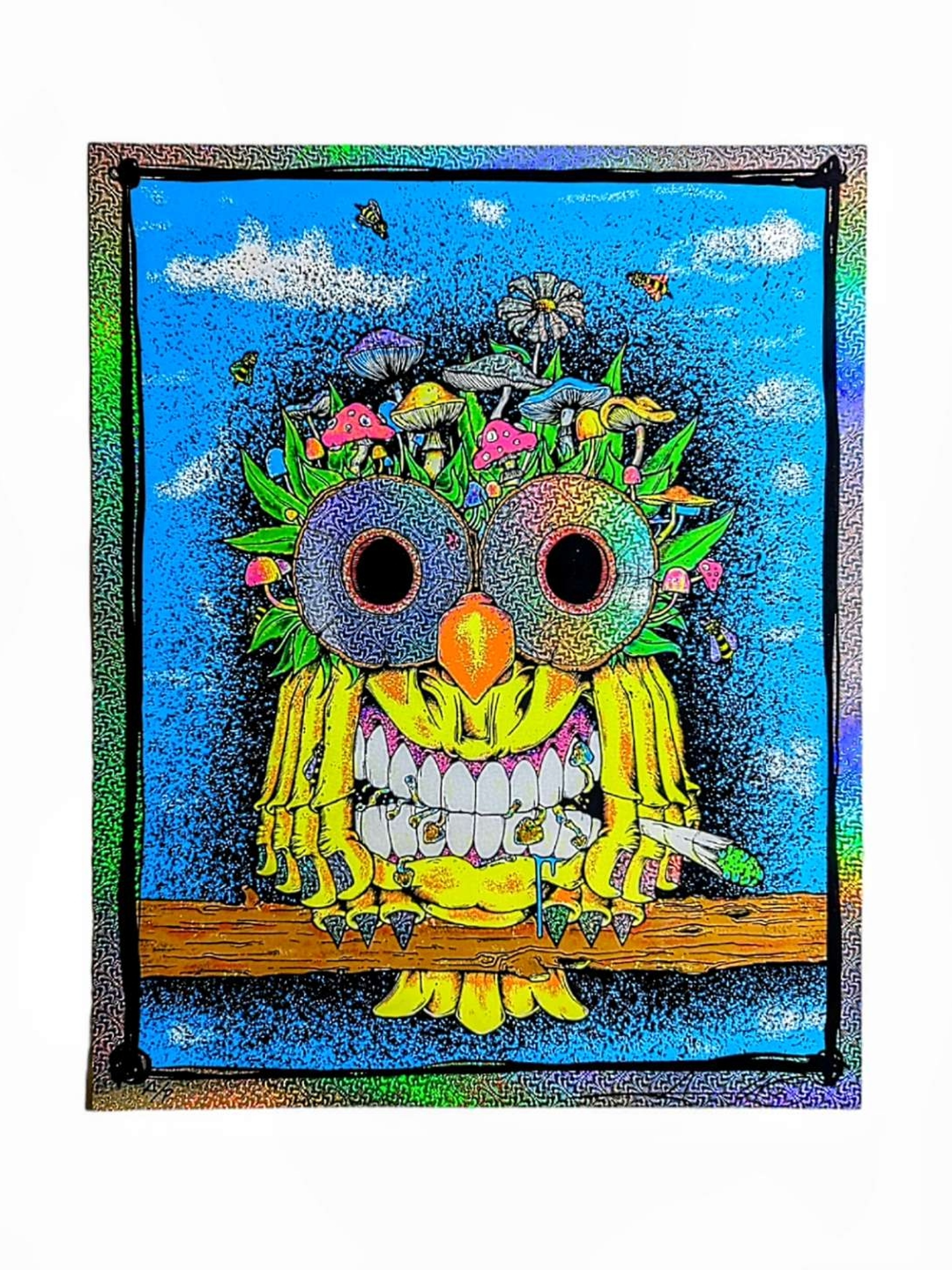 Preview pic of Aaron Brooks "Fungowl (Foil)" Print