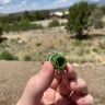 Small image 2