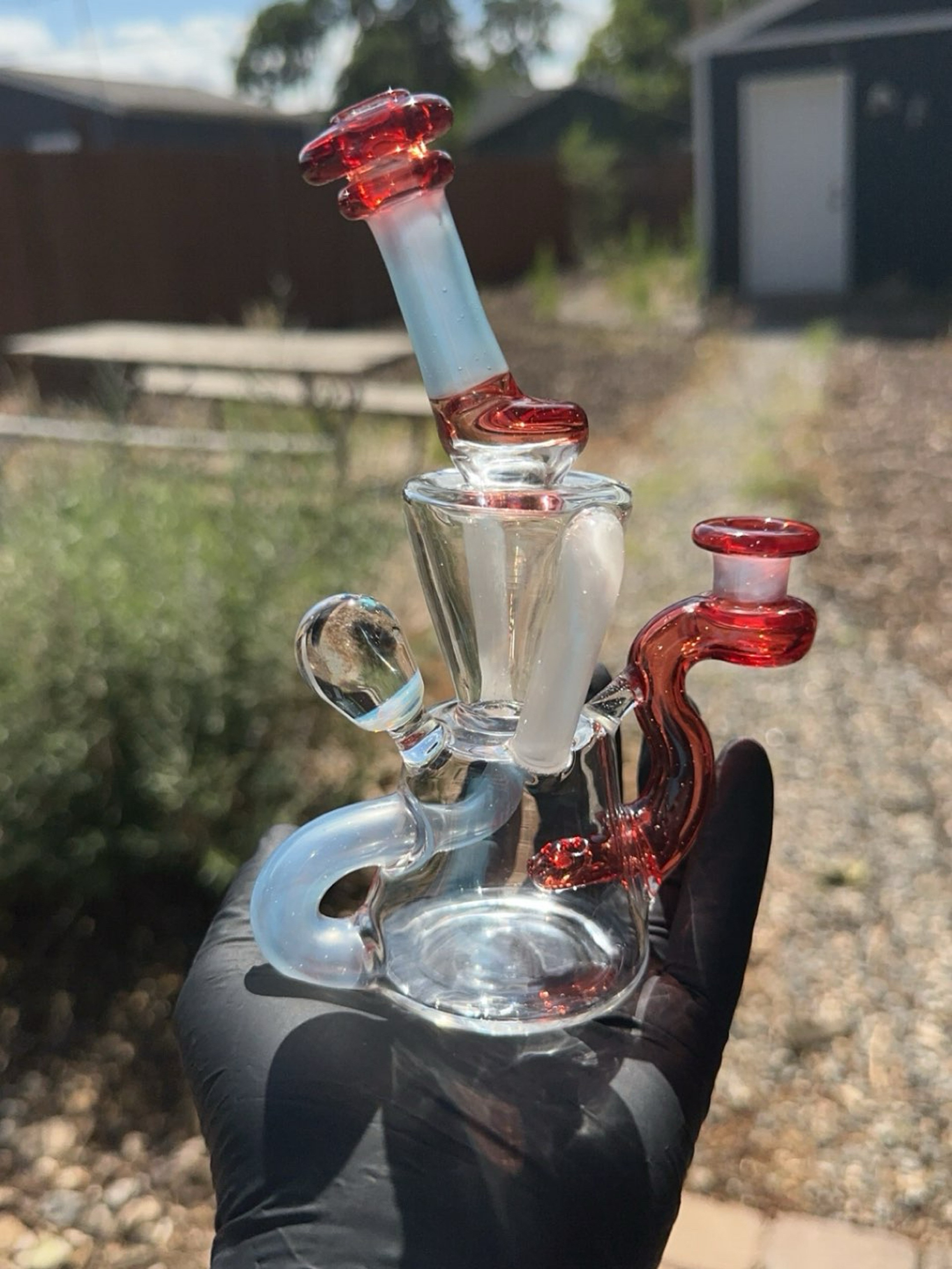 Preview pic of Heart and mind duel uptake recycler