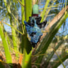 Small image 1