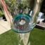 Small image 7