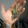 Small image 0