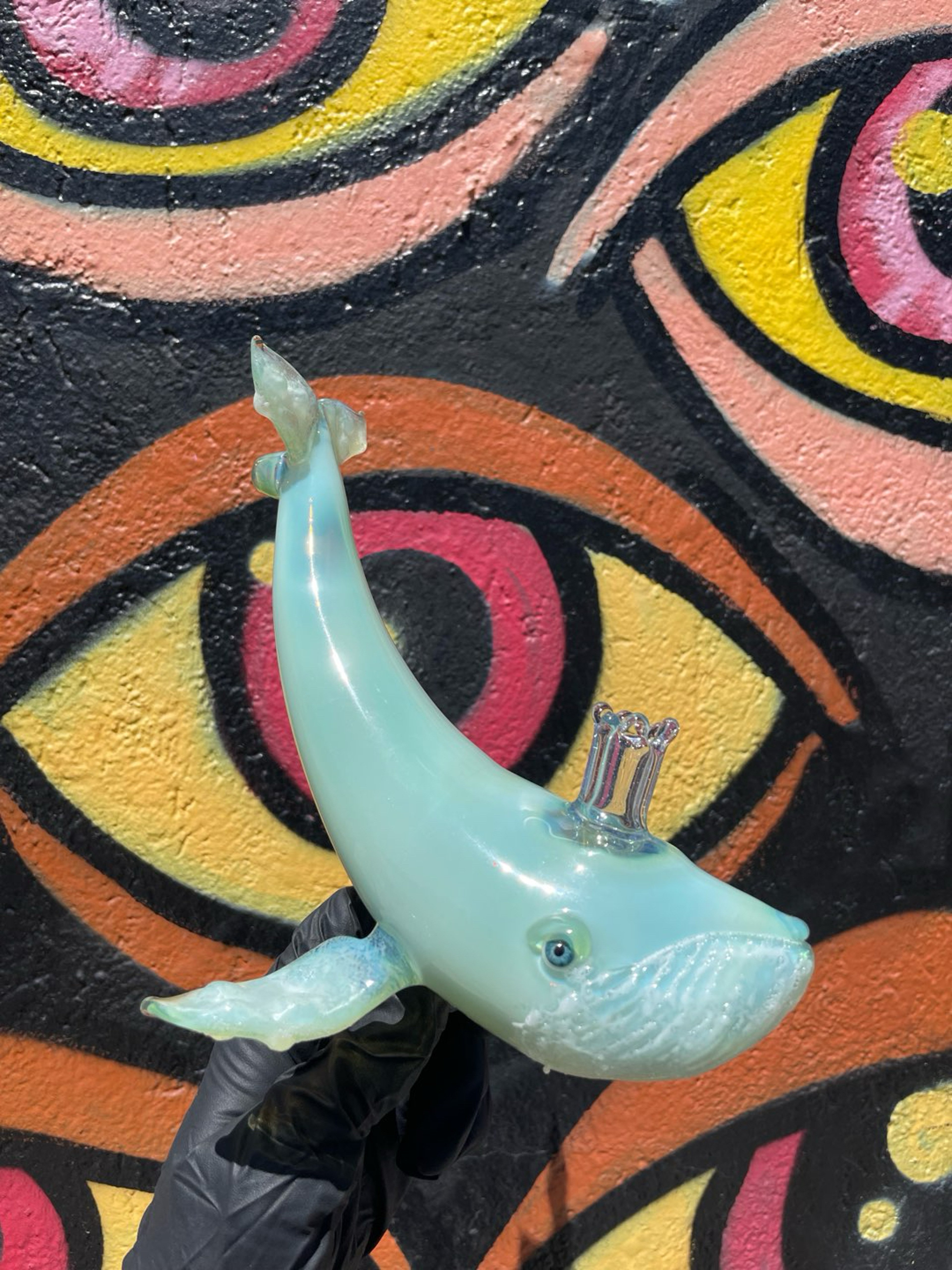 Preview pic of Chadd Lacy Full Sized Whale