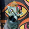 Small image 1