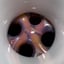 Small image 8