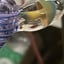 Small image 7