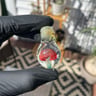 Small image 1