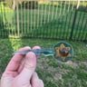Small image 6