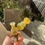 Small image 5