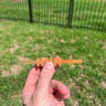 Small image 1