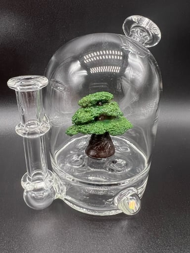 Preview pic of Bubbles the butcher bonsai tree with pelican case