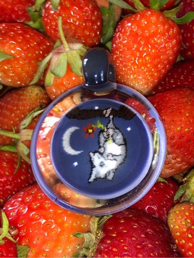 Preview pic of Possum Murrine Pendant