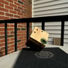 Small image 0
