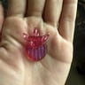 Small image 1