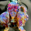 Small image 6