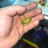 Small image 5