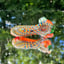 Small image 3