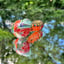 Small image 5