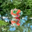 Small image 8