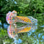 Small image 9