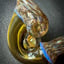 Small image 6
