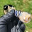 Small image 7