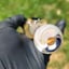 Small image 5
