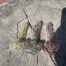 Small image 1