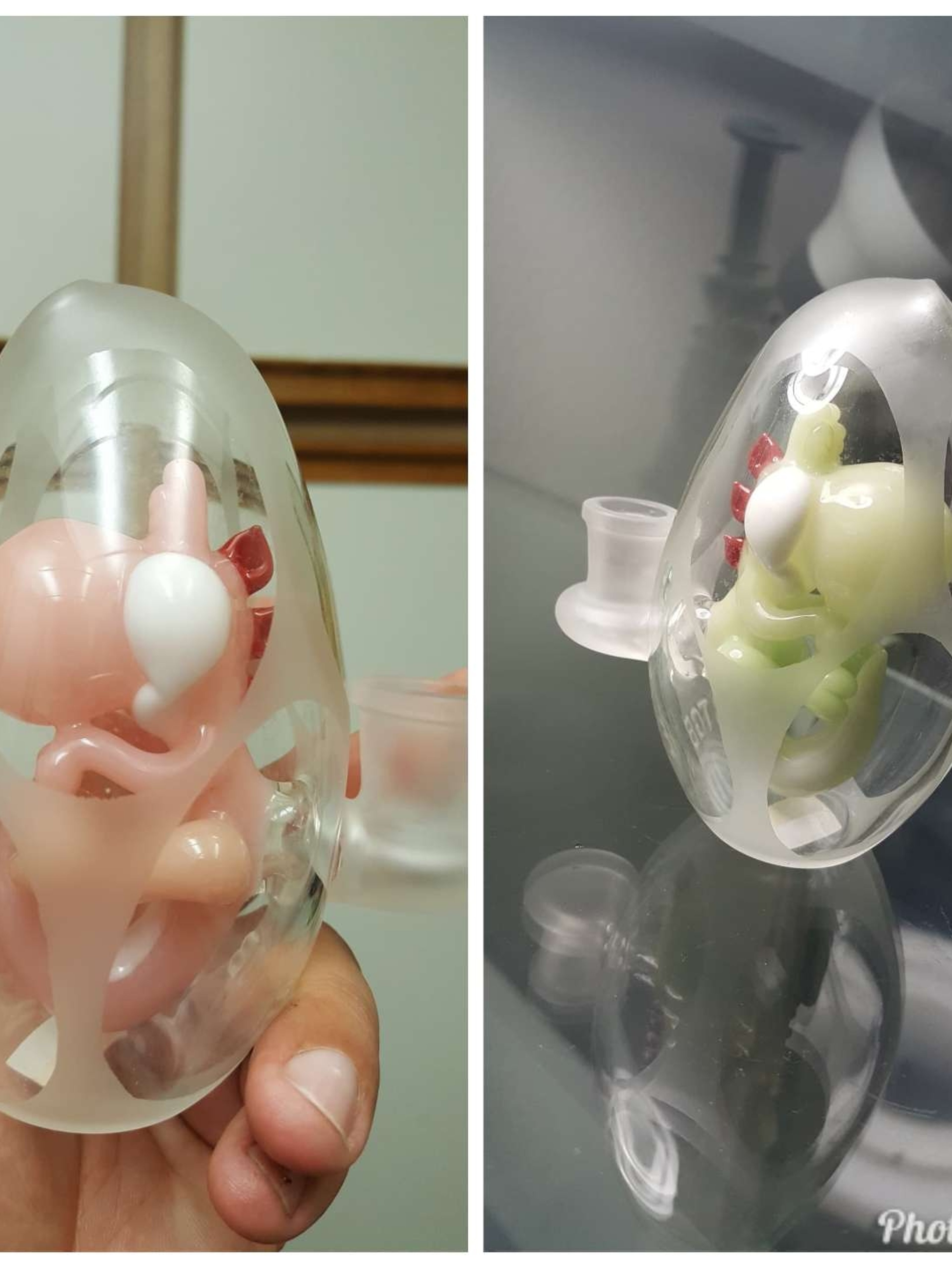 Preview pic of BTGB CFL Yoshi fetus egg rig