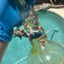 Small image 5