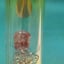 Small image 6