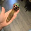 Small image 7