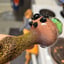 Small image 6