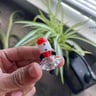 Small image 3