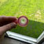 Small image 7